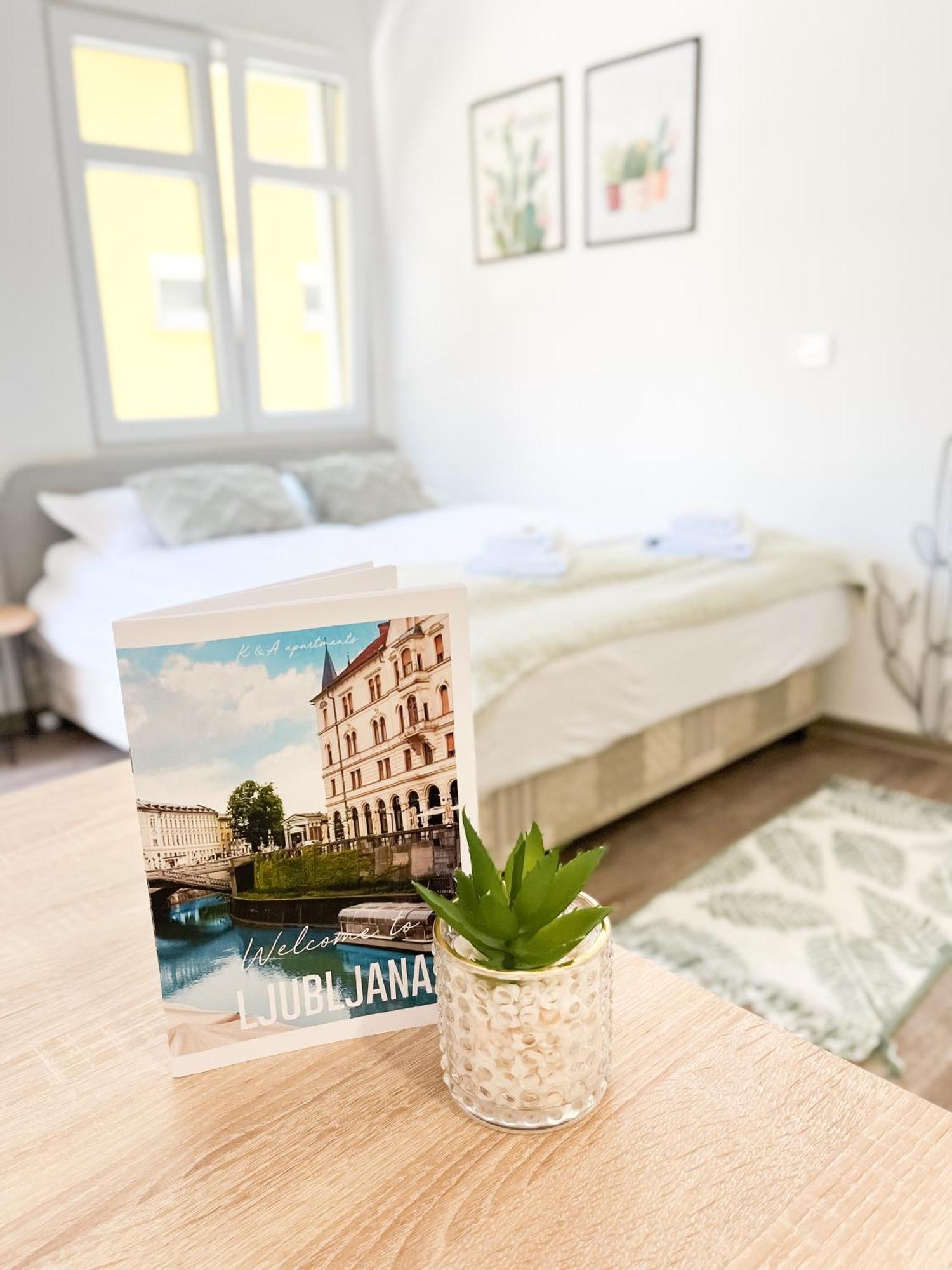 Anita'S Studio Apartments Ljubljana Extérieur photo