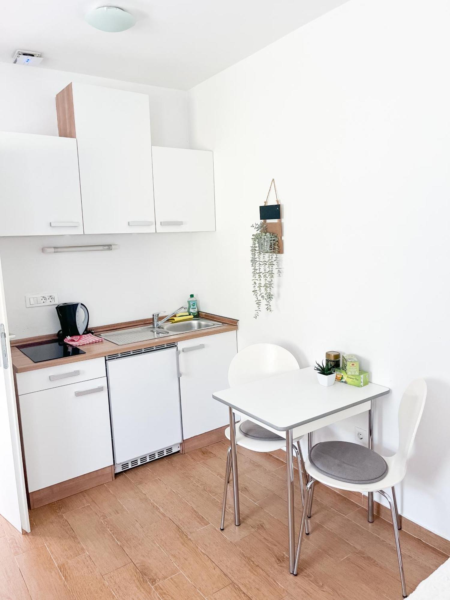 Anita'S Studio Apartments Ljubljana Extérieur photo