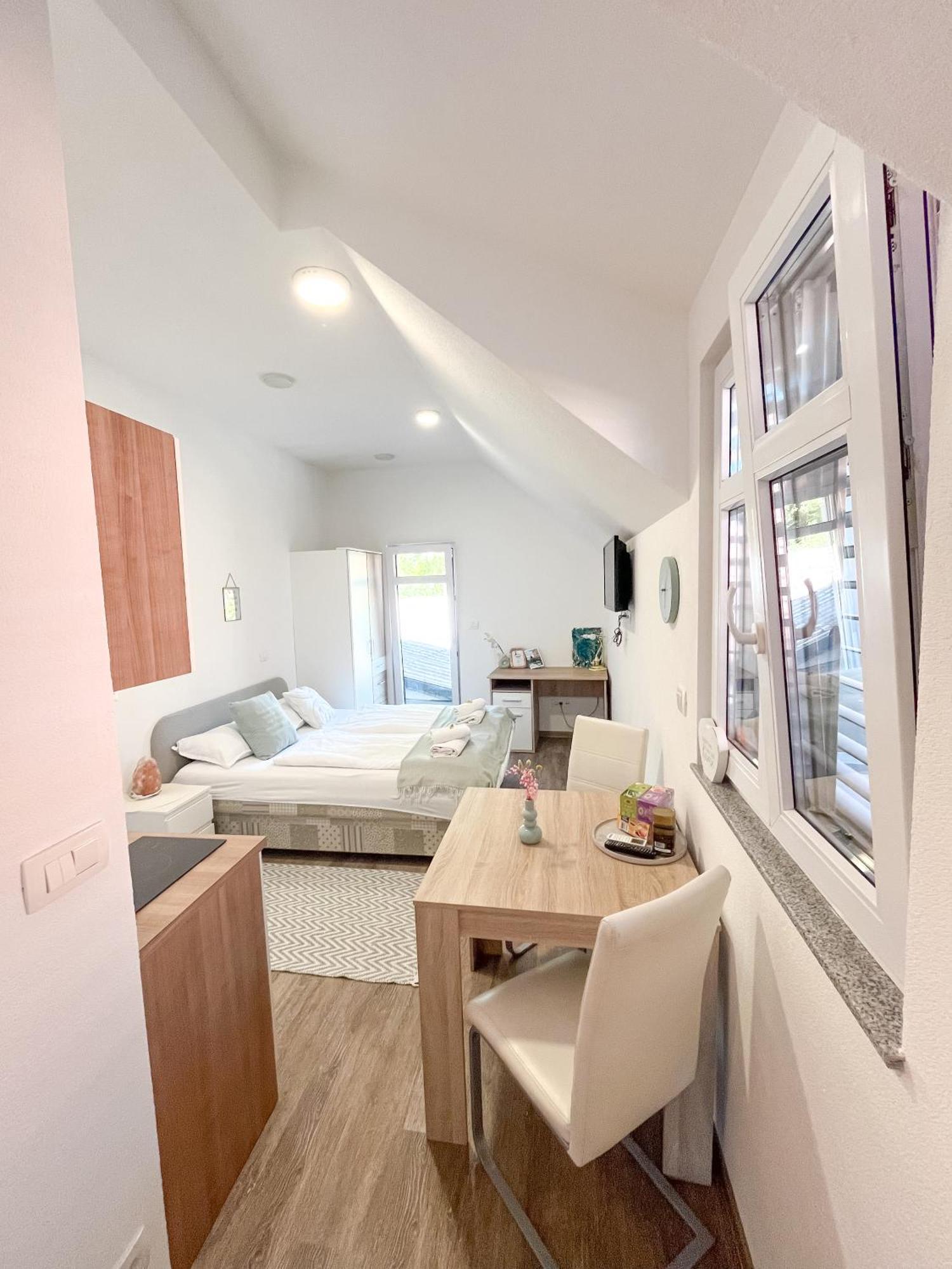 Anita'S Studio Apartments Ljubljana Extérieur photo